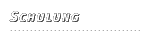 Einzel- und Gruppenschulung in unserem Schulungscenter